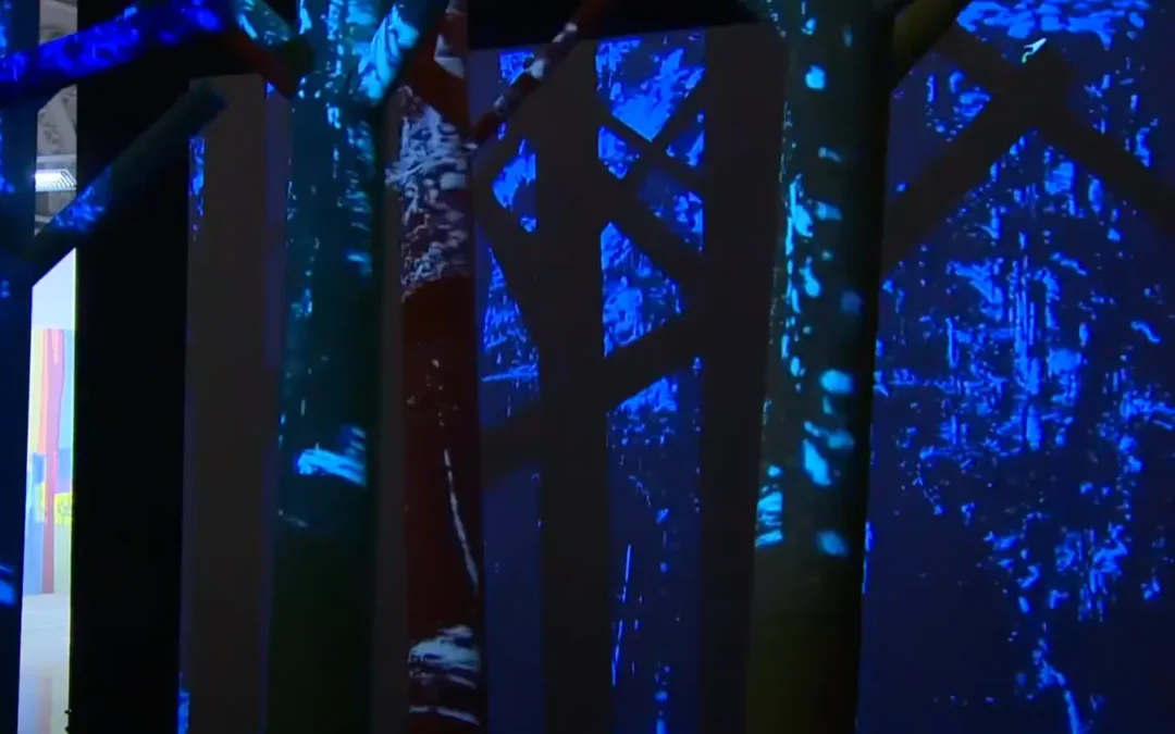 Paseos Iluminados en la Lonja de Zaragoza. Video-reportaje de Javier Losilla