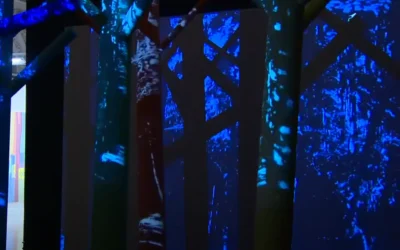 Paseos Iluminados en la Lonja de Zaragoza. Video-reportaje de Javier Losilla